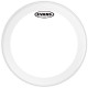 PARCHE EVANS 22 MOD. BD22GB3