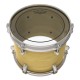Parche Remo Pinestripe Clear 8"