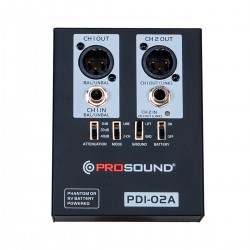 CAJA DIRECTA ACTIVA 2 CANALES PROSOUND